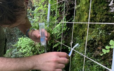 Acabem el seguiment anual 2025