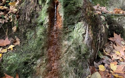 Primer mostreig triennal a Girona