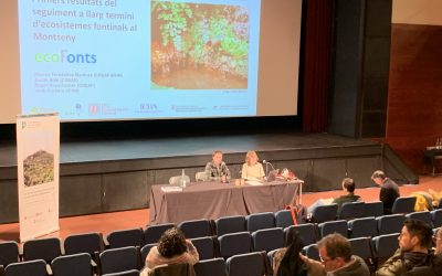EcoFonts a la Trobada d’Estudis del Montseny
